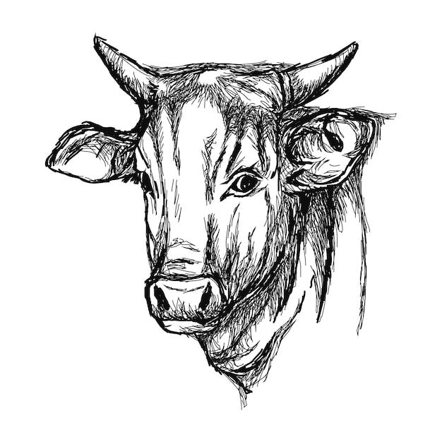 Cow farm animal head icon