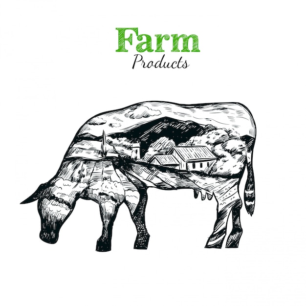 Cow silhouette illustration