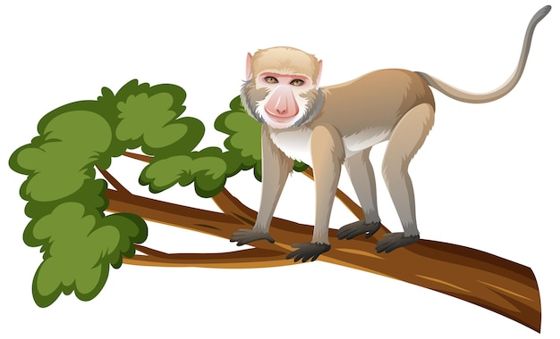 Crab-eating macaque or monkey on tree branch in cartoon style on white background