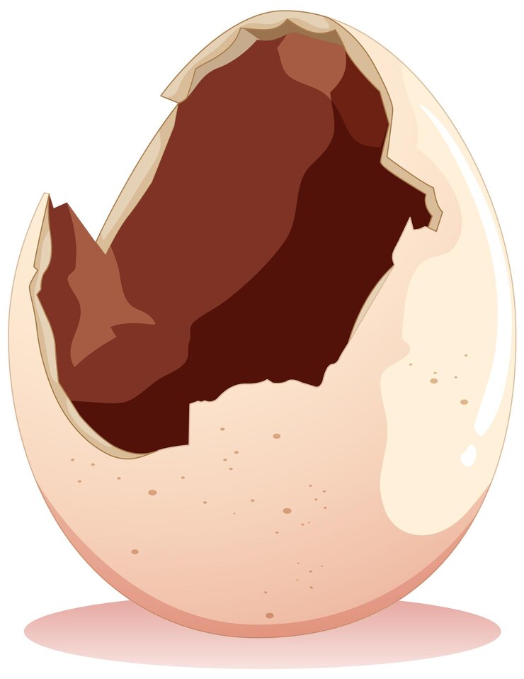 मुफ़्त वेक्टर cracked egg on white background