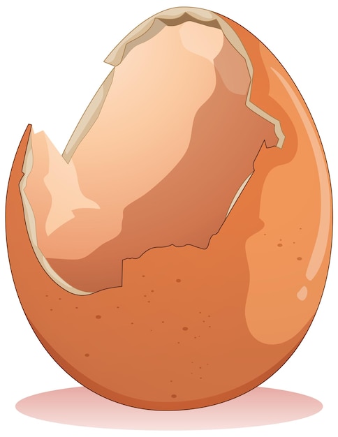 Cracked egg on white background