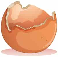 Free vector cracked egg on white background