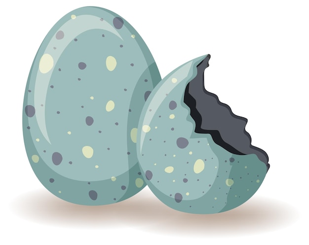Бесплатное векторное изображение Взламывание яиц на белом фоне