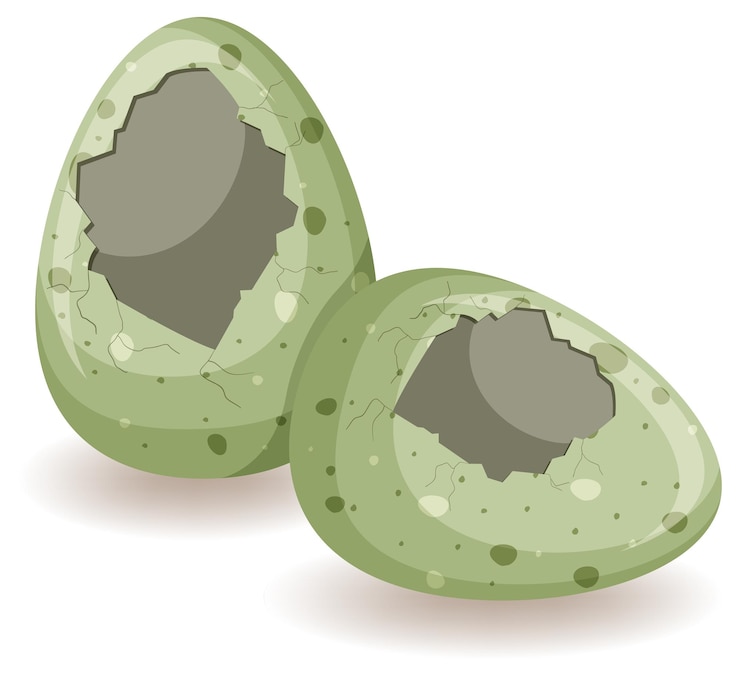 Free Vector cracking eggs on white background