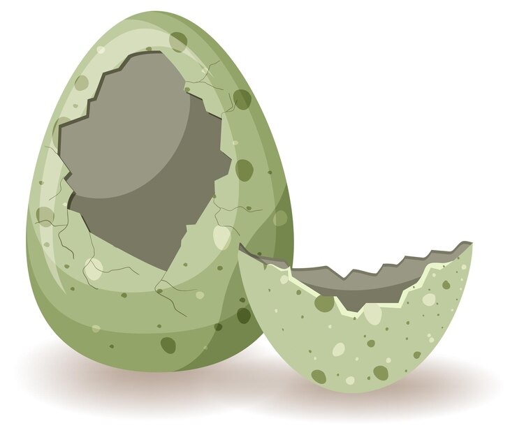 Free Vector cracking eggs on white background