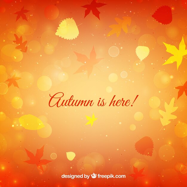 Creative autumn background