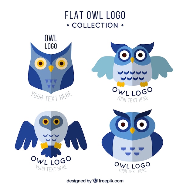 Creative blue owl logo collection