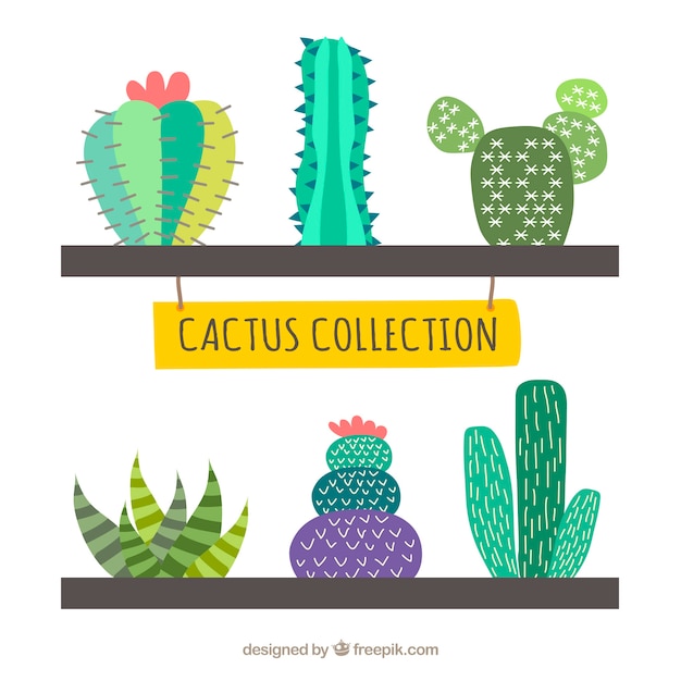 Collezione creativa del cactus