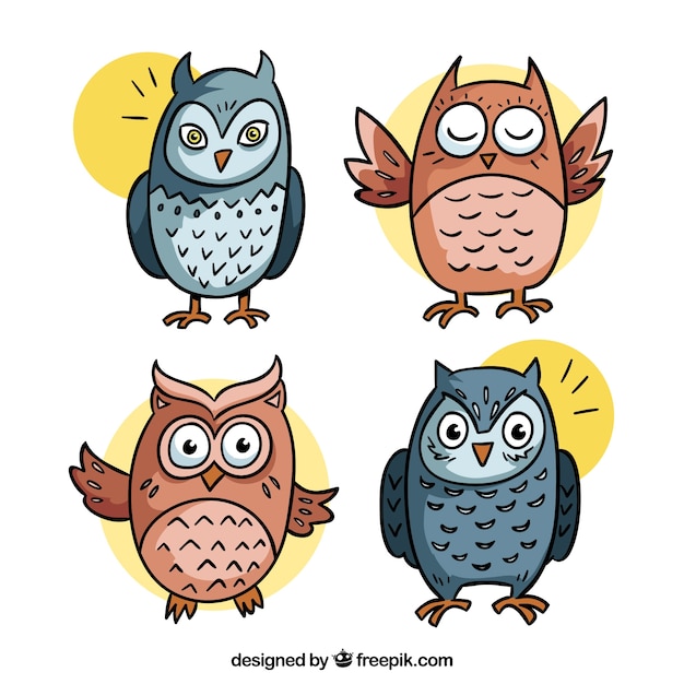 Creative cartoon owl collection