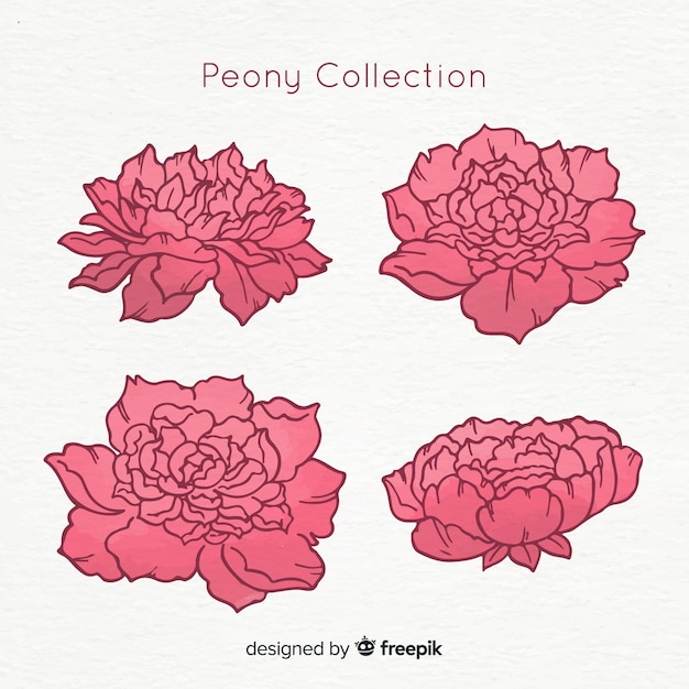 Creative collection of peony flowers