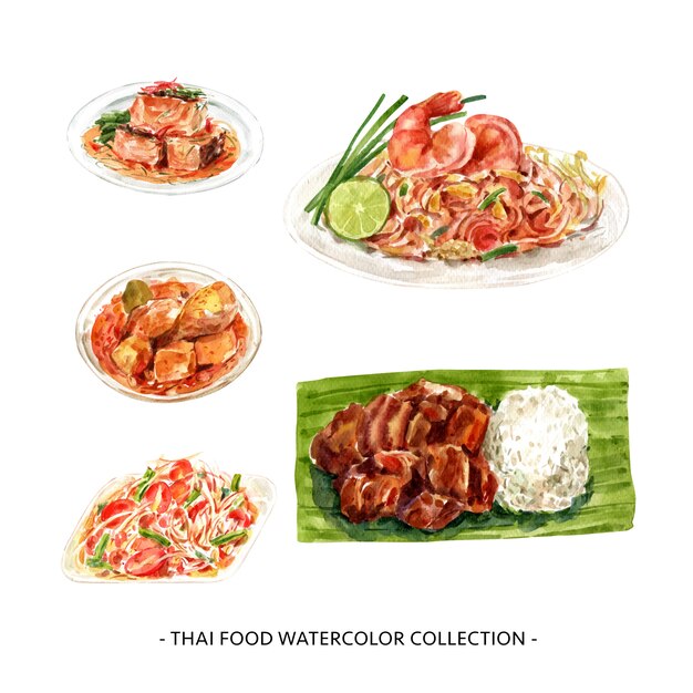 Creative design isolated watercolor Thai food illustration .