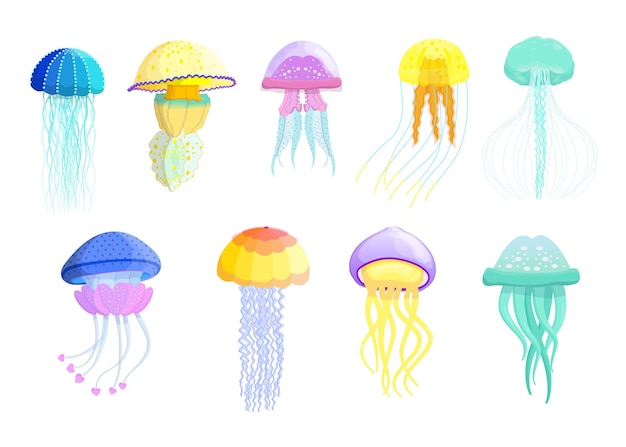 Free vector creative different jellyfishes flat set
