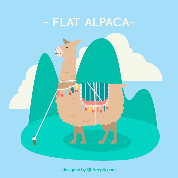 Creative flat alpaca background