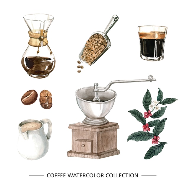 Бесплатное векторное изображение Креативный изолированный акварельный кофе