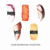 Free vector creative isolated  watercolor sushi