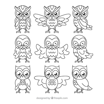 Creative outline owl set