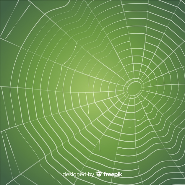 Free vector creepy cobweb background