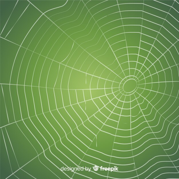 Creepy cobweb background