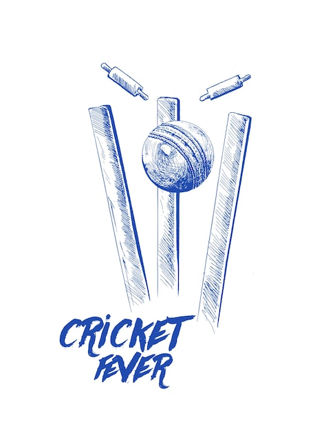 Мяч для крикета, ударяющий по боулингу над калиткой, эскиз от руки, графический дизайн, векторная иллюстрация