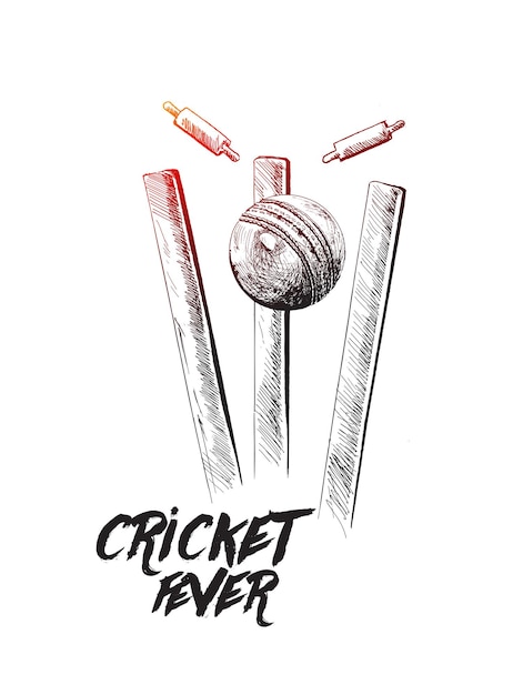 Free vector cricket fever freehand sketch graphic design vector illustration