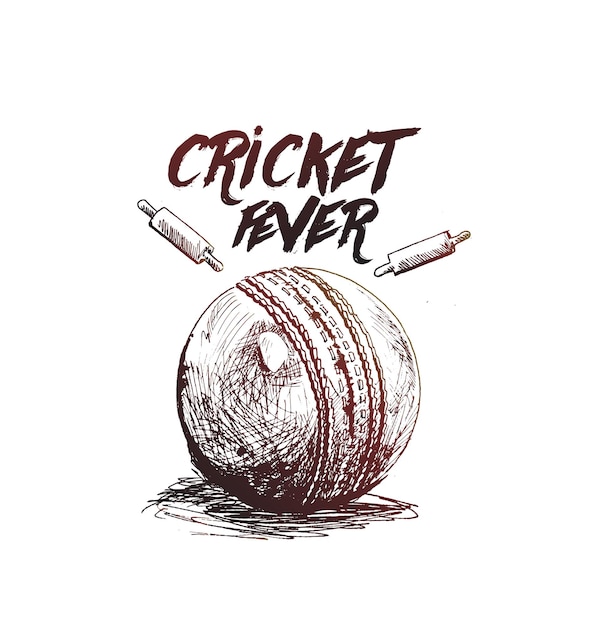 Векторная иллюстрация графического дизайна от крикетной лихорадки