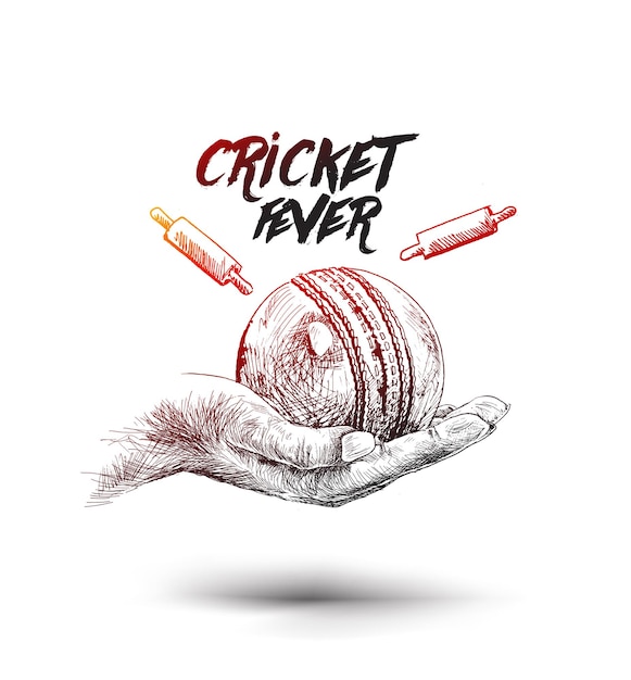 Cricket Fever Freehand Sketch Graphic Design Vector illustration