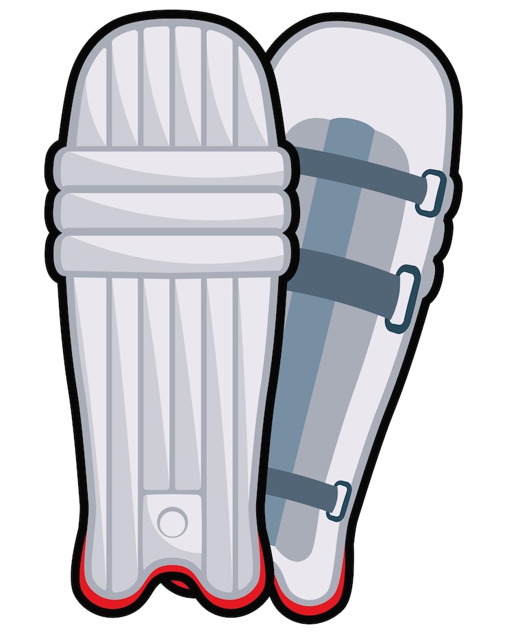 Free Vector cricket legs defends