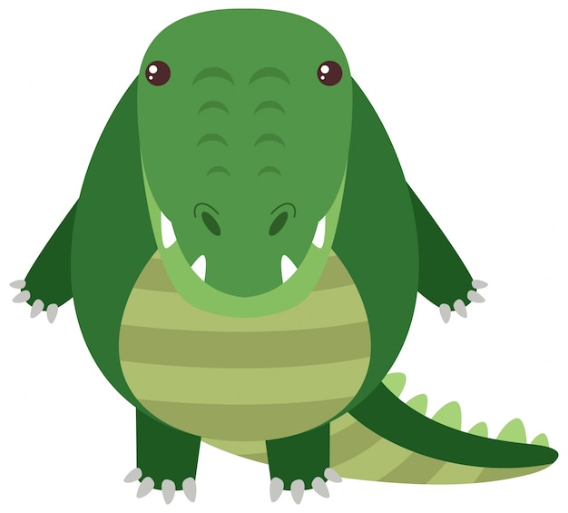 Free vector crocodile with round body