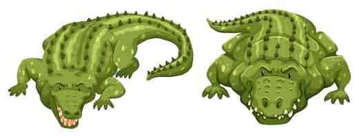 Free vector crocodiles