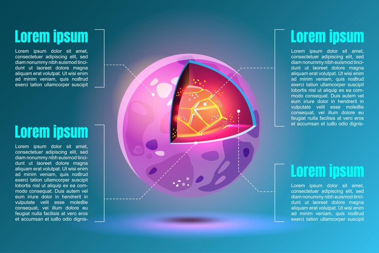 Free Vector a cross section infographic showing the surface and interior of a new asteroid in space being explored by the space agency