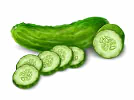 Free vector cucumber isolated on white