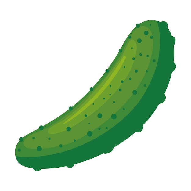 Free vector cucumber vegetable organic icon isolated