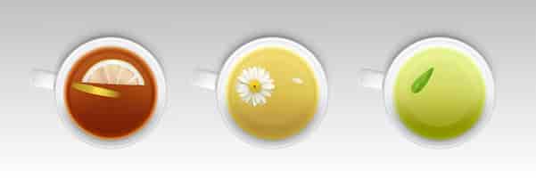 Бесплатное векторное изображение Чашки с травяным чаем, горячим здоровым напитком