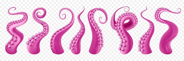 Free vector curl and intertwined octopus tentacles cartoon set in purple color at transparent background isolated vector illustration