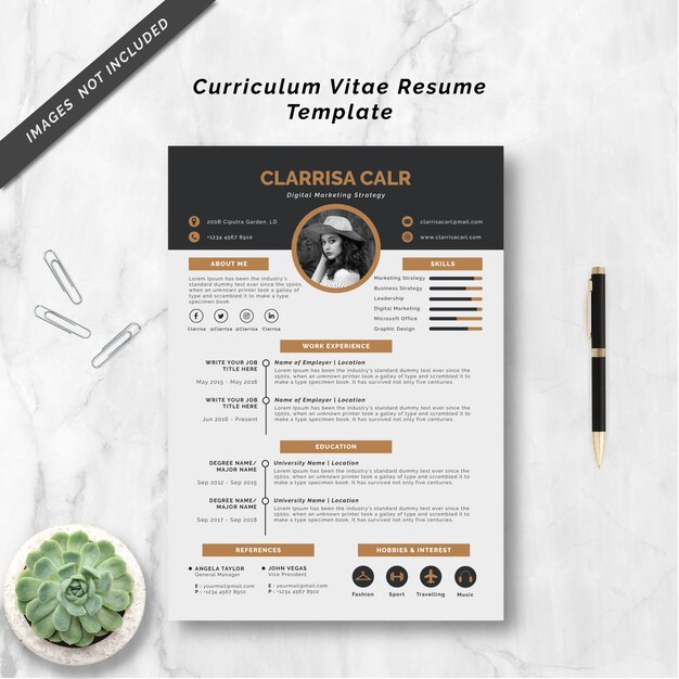 Curriculum vitae resume template