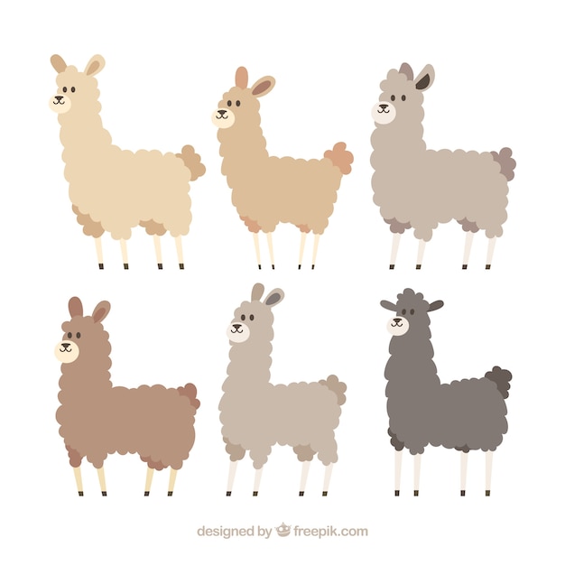 Free vector cute alpacas collection