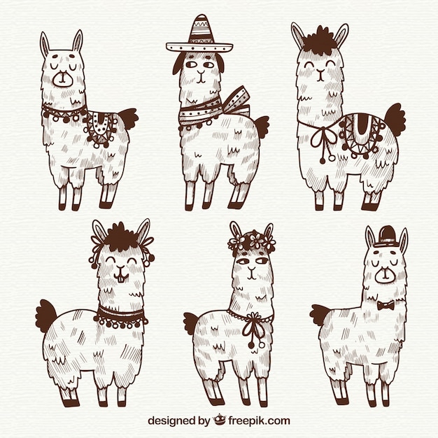 Free vector cute alpacas collection