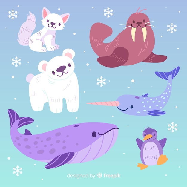 Cute animal collection with big whale