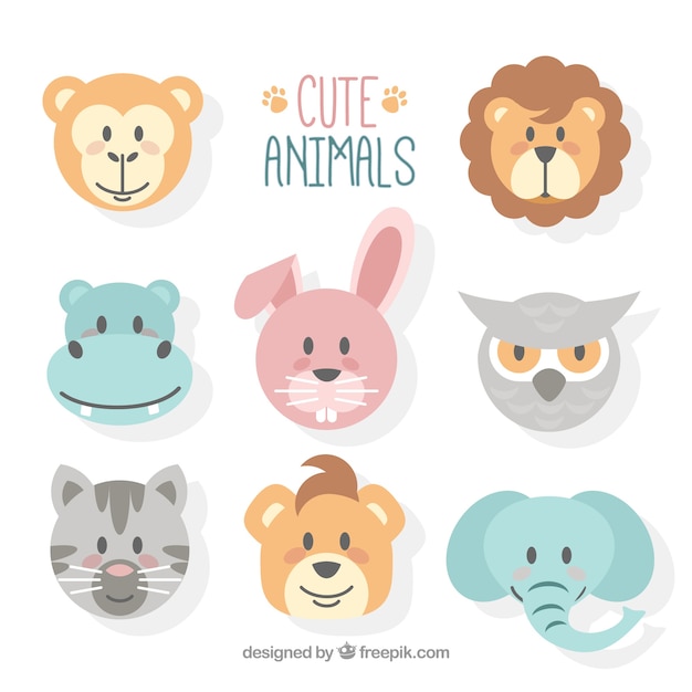 Cute animal faces with flat design