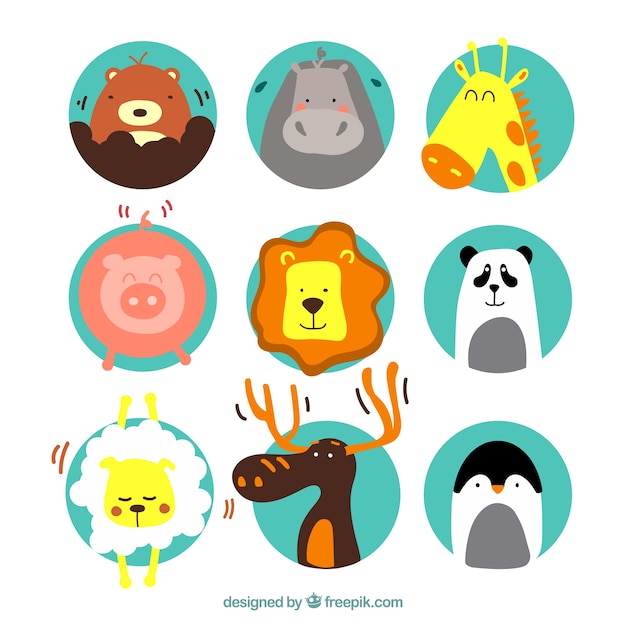 Free vector cute animal illustrations