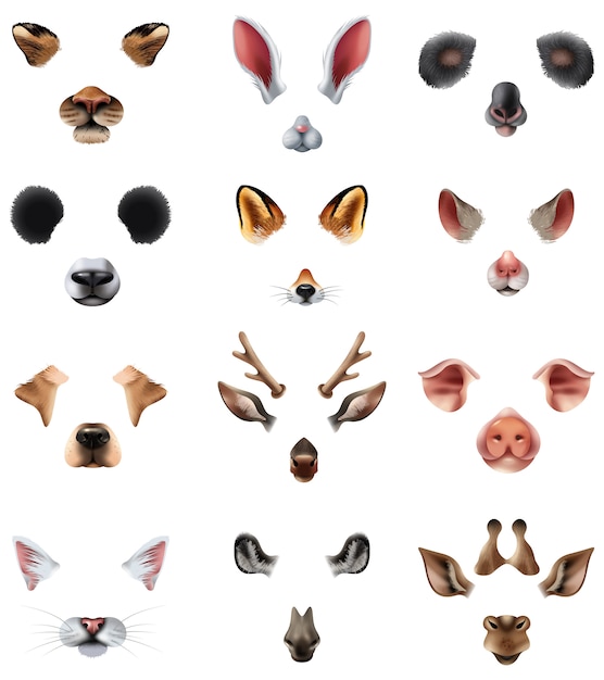 Free vector cute animal masks video chat application effect filters set