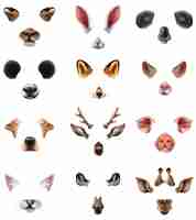 Free vector cute animal masks video chat application effect filters set