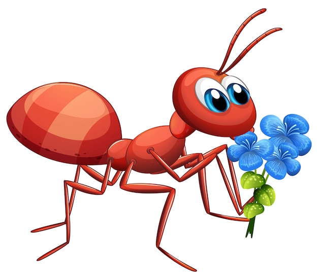 흰색 배경에 파란색 꽃을 들고 귀여운 개미 만화 캐릭터