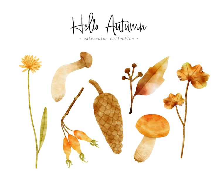 Free Vector cute autumn organic watercolor illustration for decorative element