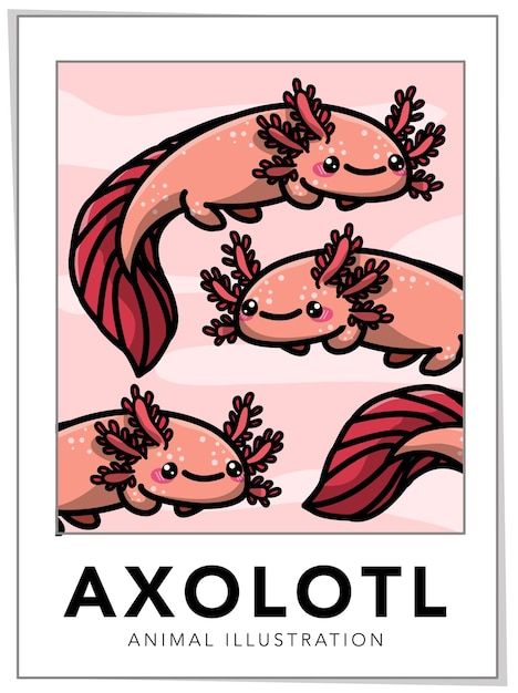 Cute axolotl vector illustration