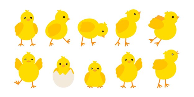 ひよこ 画像 無料のベクター ストックフォト Psd