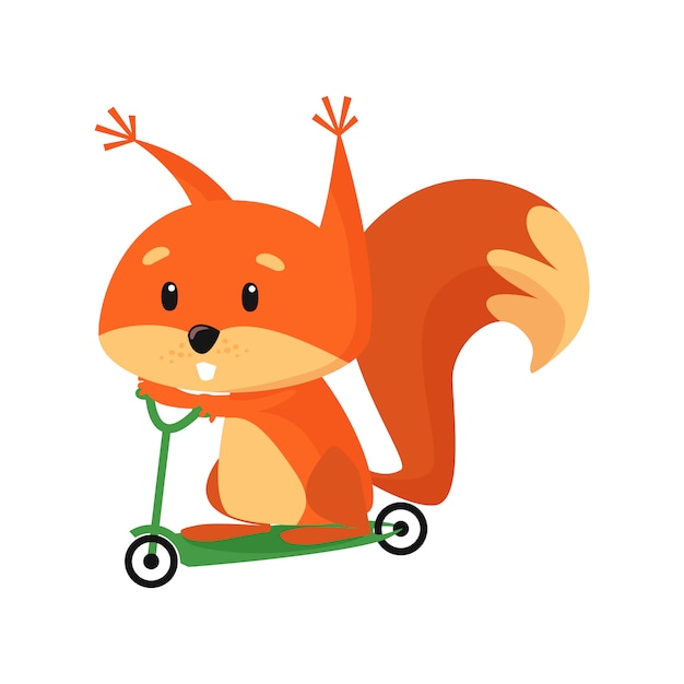 Cute baby squirrel riding scooter