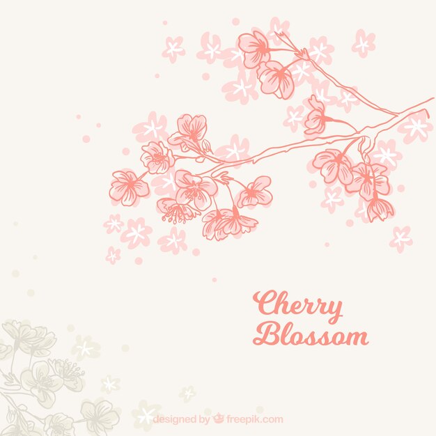 Cute Background Of Cherry Blossoms