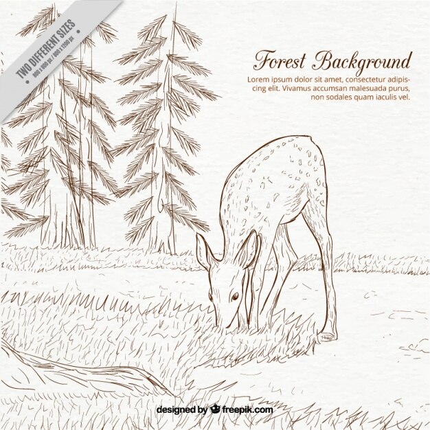 Free Vector cute background of a fawn eating