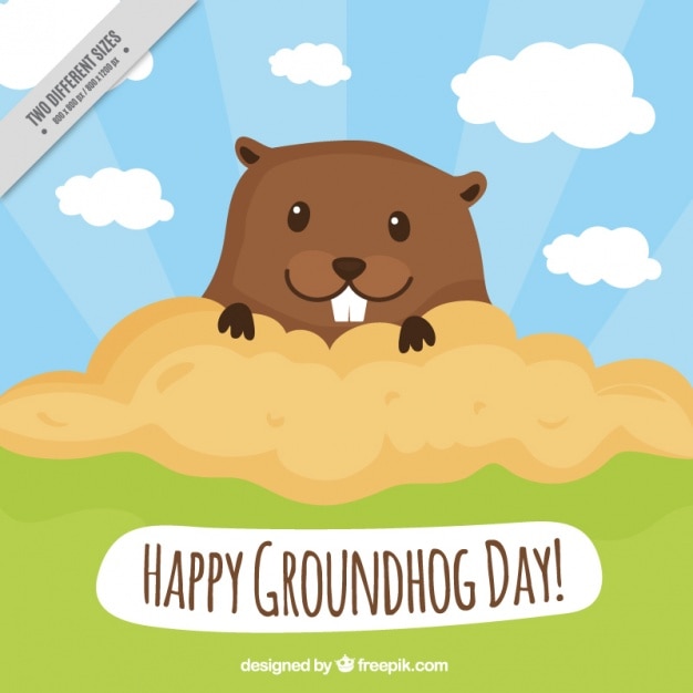 Cute background of groundhog in flat design